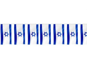 שרשרת דגלים  28X20 - אורך 3 מטר